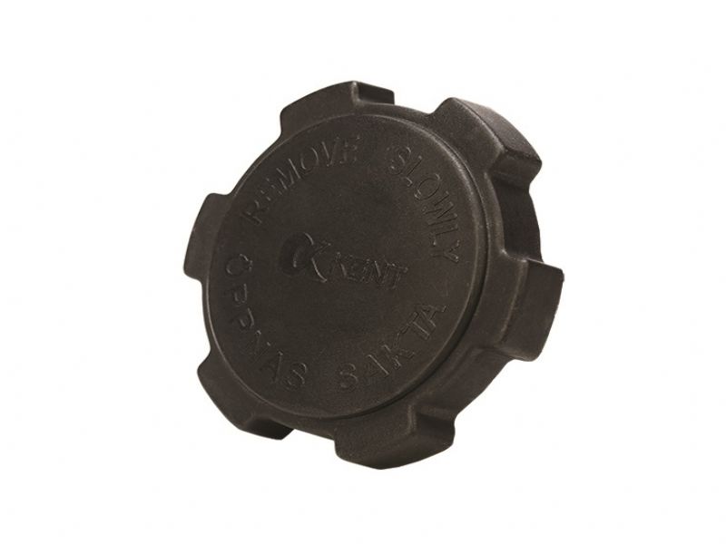 Radiator Cap OEM Number : 1403954 , Code:DSK-02-B


